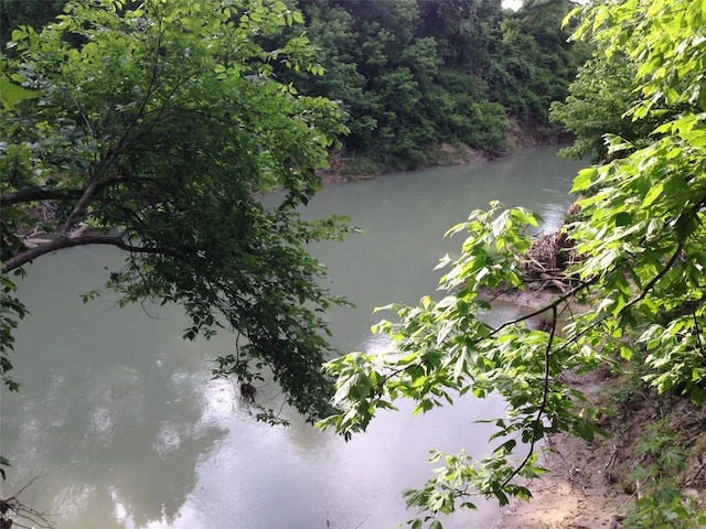 view of water feature