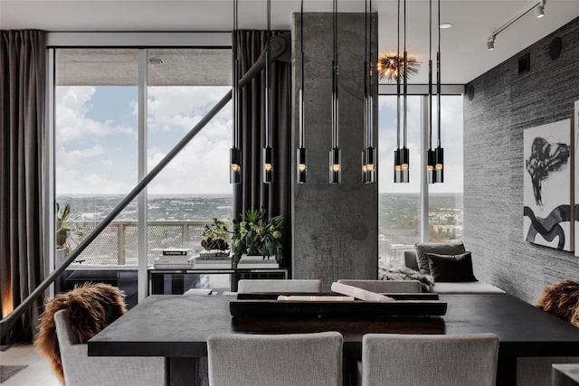 dining area with wood finished floors, a healthy amount of sunlight, track lighting, and floor to ceiling windows