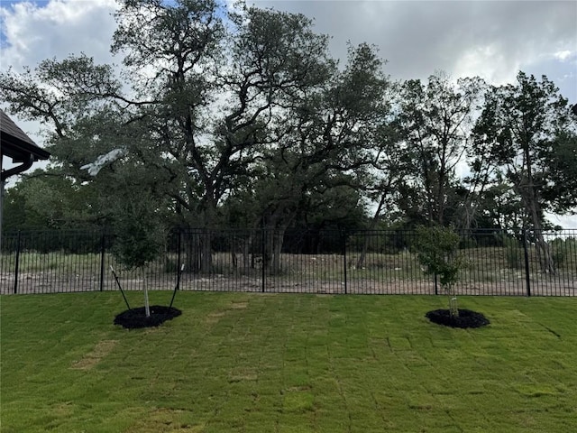 1670 Headwaters Blvd, Dripping Springs, TX 78620 - view of yard