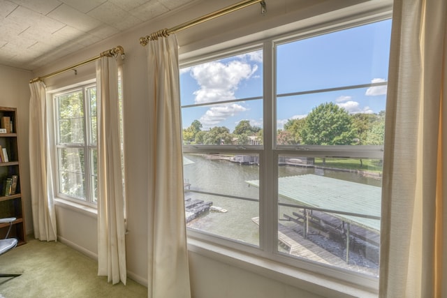 details featuring carpet, a water view, and baseboards