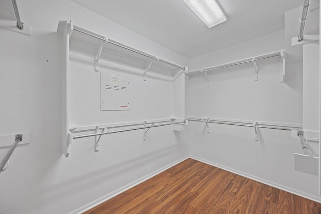 spacious closet featuring dark wood-style flooring