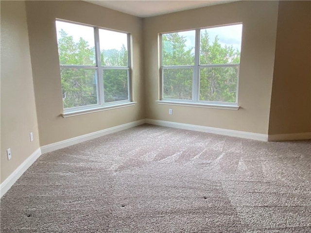 spare room with baseboards and carpet floors