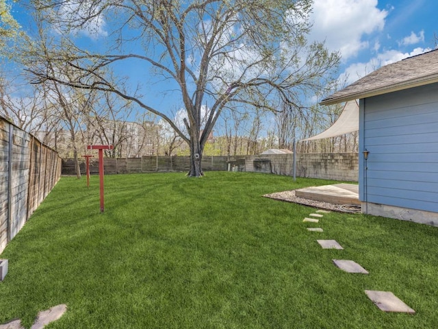 view of yard featuring a fenced backyard and a patio area