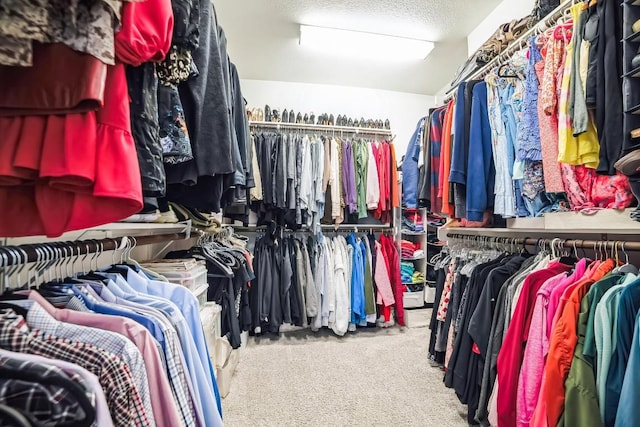 spacious closet featuring carpet