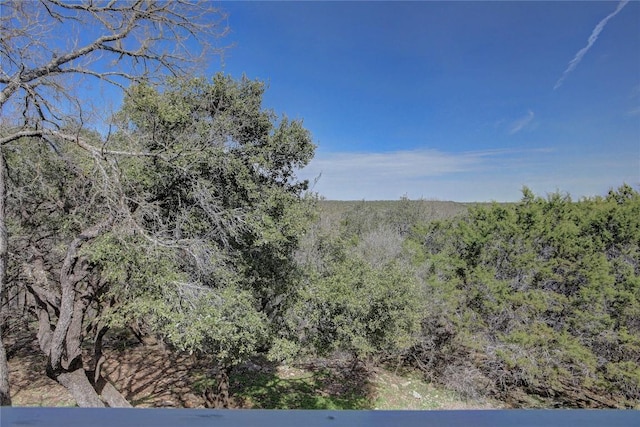 450 Shady Bluff Dr, Wimberley, TX 78676 - photo 20