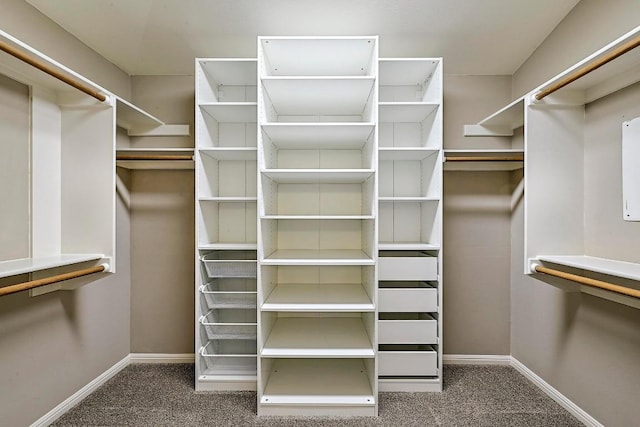 walk in closet with carpet flooring