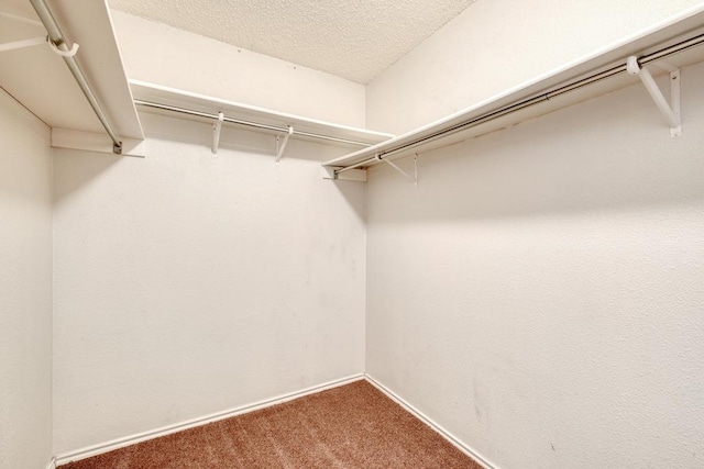 1803 Chino Valley Trl, Round Rock, TX 78665 - photo 20