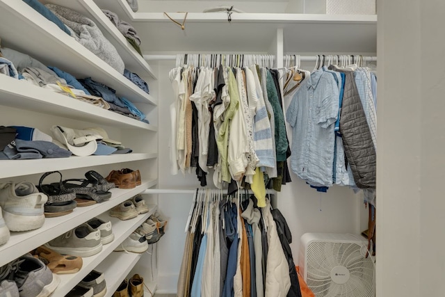 view of spacious closet