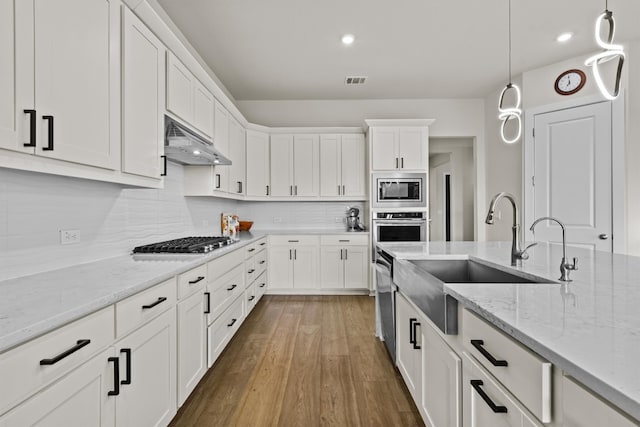 kitchen featuring under cabinet range hood, a sink, wood finished floors, stainless steel appliances, and white cabinets