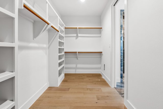 spacious closet featuring light wood finished floors