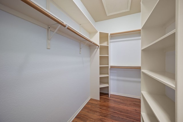 spacious closet with wood finished floors