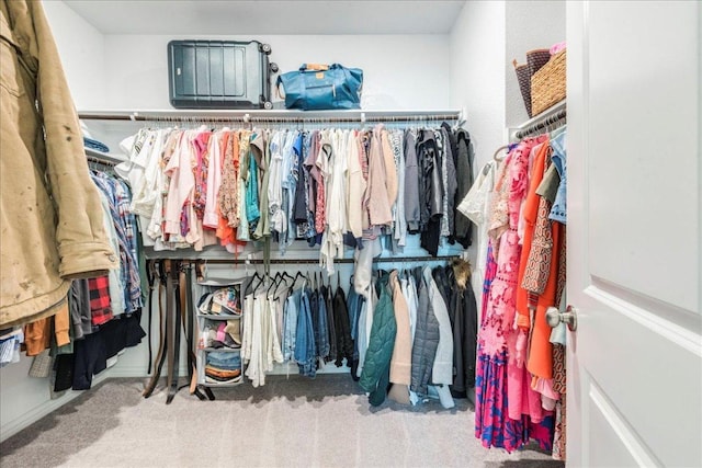 spacious closet featuring carpet floors