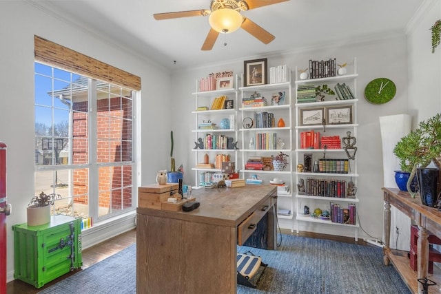 office space with wood finished floors, ornamental molding, and a ceiling fan