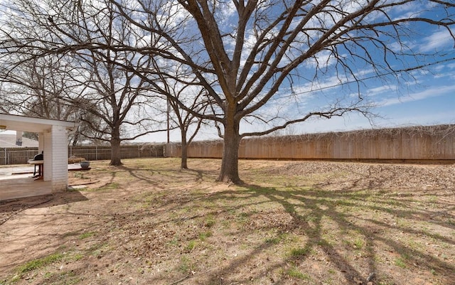 view of yard with a patio area and a fenced backyard