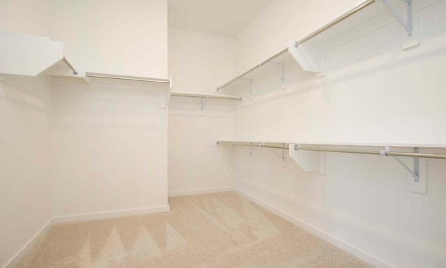 121 Poole Ln, Liberty Hill, TX 78642 - walk in closet with light colored carpet