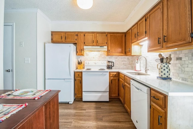 kitchen featuring brown cabinets, a sink, under cabinet range hood, wood finished floors, and white appliances