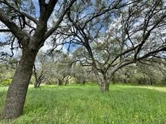 LOT9 Stone Mountain Dr, Marble Falls, TX 78654 - photo 7