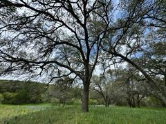 LOT9 Stone Mountain Dr, Marble Falls, TX 78654 - photo 8