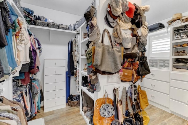 walk in closet with light wood finished floors