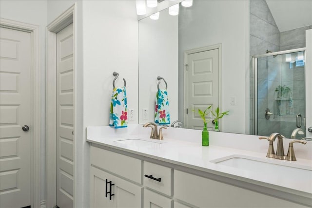 bathroom featuring a sink, double vanity, and a shower stall