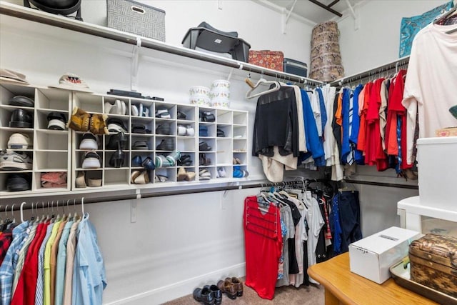 spacious closet with carpet