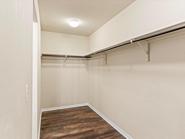 walk in closet with dark wood finished floors