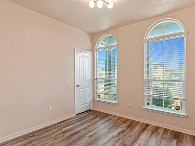spare room featuring a healthy amount of sunlight, baseboards, and wood finished floors