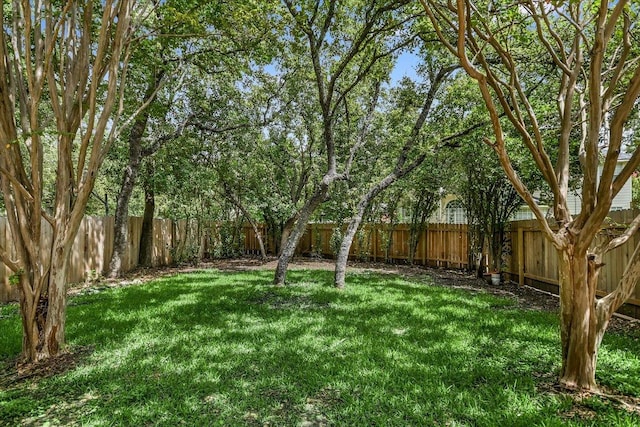 view of yard featuring a fenced backyard