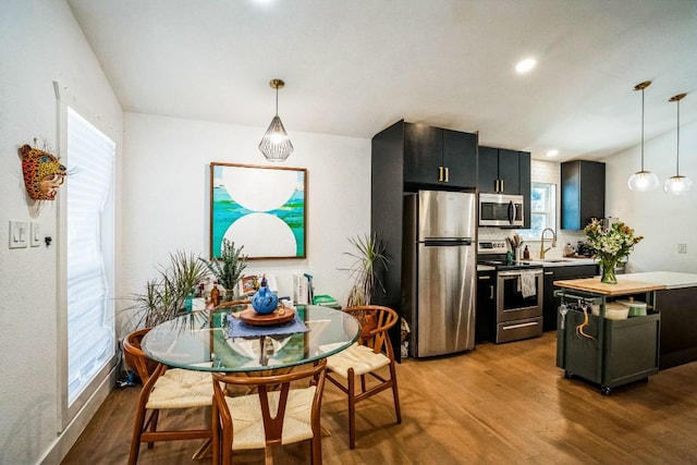 kitchen featuring decorative light fixtures, light countertops, wood finished floors, stainless steel appliances, and dark cabinets