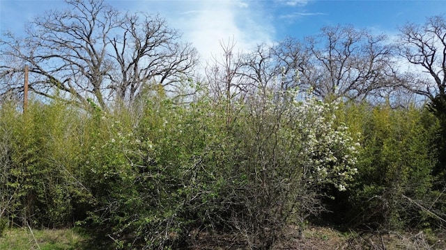 000 Cool Water Dr, Bastrop TX, 78602 land for sale