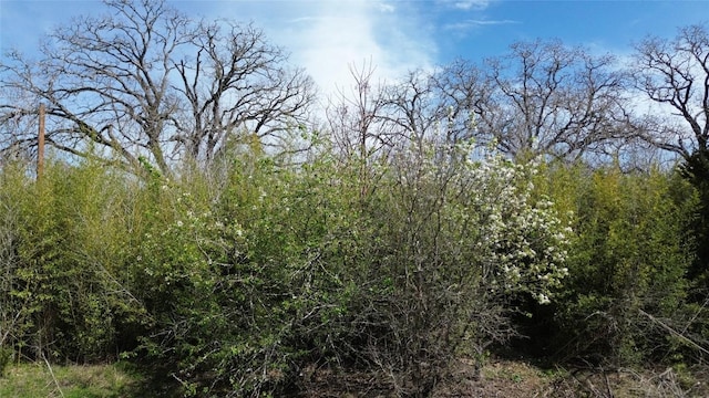 000 Cool Water Dr, Bastrop, TX 78602 - photo 1