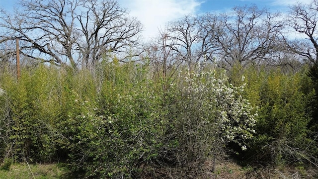 000 Cool Water Dr, Bastrop, TX 78602 - photo 2