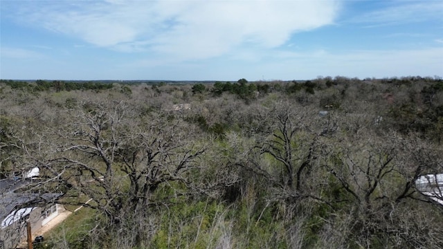 000 Cool Water Dr, Bastrop, TX 78602 - photo 5