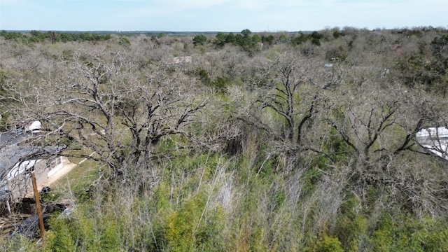 000 Cool Water Dr, Bastrop, TX 78602 - photo 6