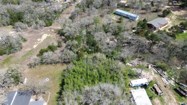000 Cool Water Dr, Bastrop, TX 78602 - photo 9