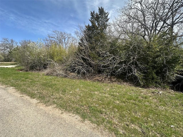 000 Cool Water Dr, Bastrop, TX 78602 - photo 10