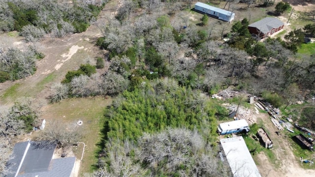 000 Cool Water Dr, Bastrop, TX 78602 - photo 11