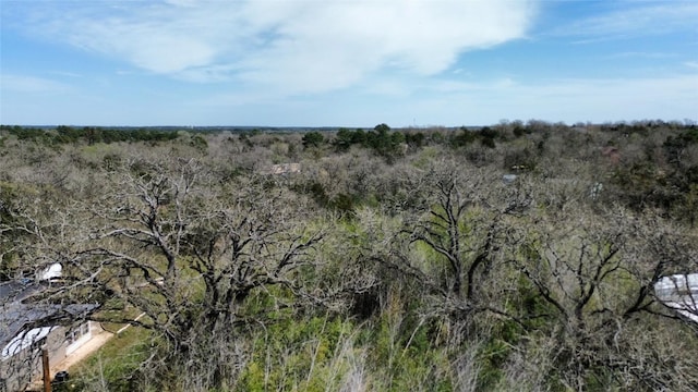 000 Cool Water Dr, Bastrop, TX 78602 - photo 18