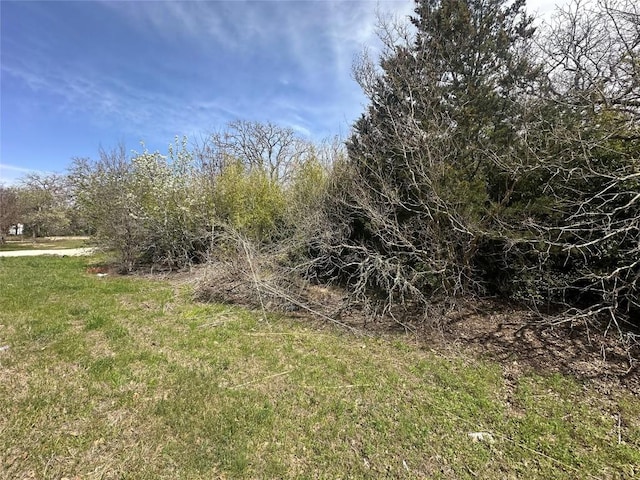 000 Cool Water Dr, Bastrop, TX 78602 - photo 19