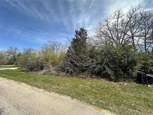 000 Cool Water Dr, Bastrop, TX 78602 - photo 21