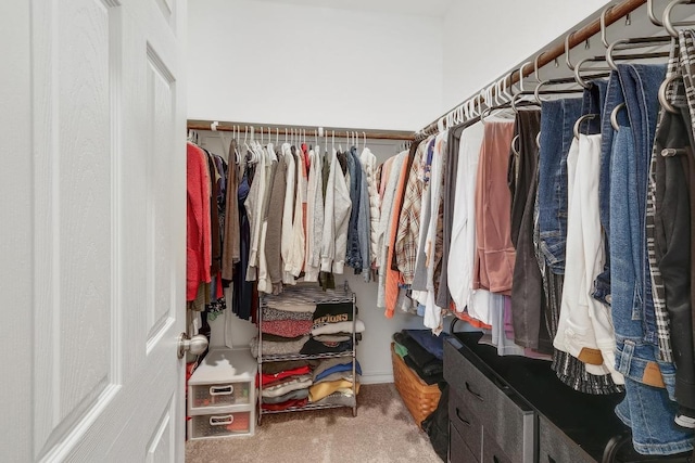 walk in closet featuring carpet