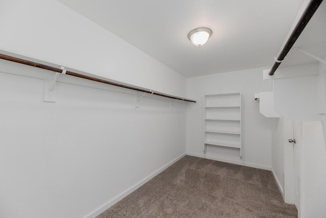 walk in closet with carpet