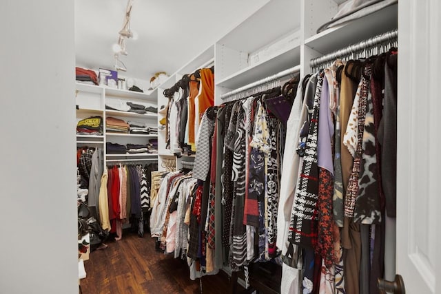 walk in closet with wood finished floors