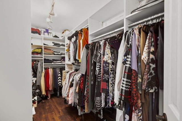 walk in closet featuring wood finished floors