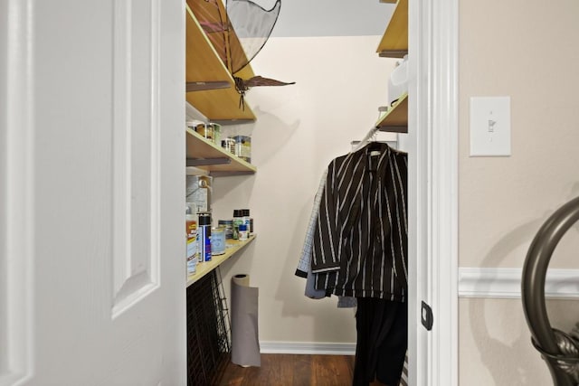 spacious closet featuring dark wood-style flooring