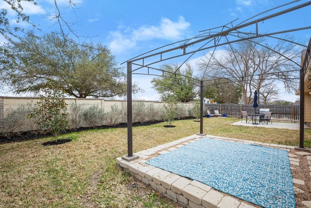 view of yard featuring a patio and a fenced backyard