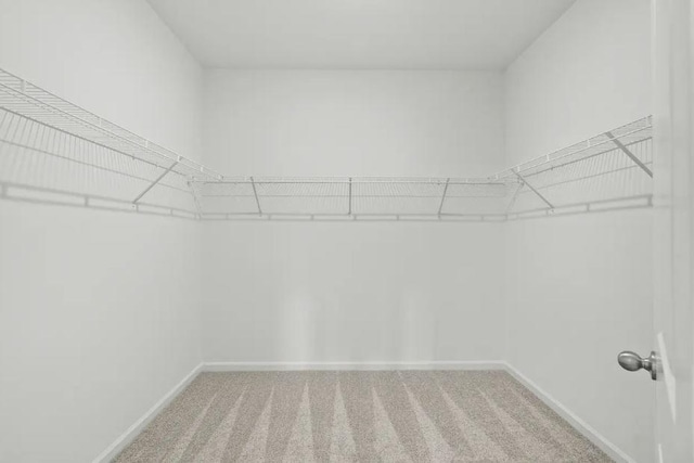 1424 Morris Loop, San Marcos, TX 78666 - walk in closet with carpet