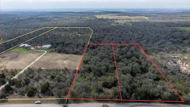 birds eye view of property featuring a rural view and a view of trees