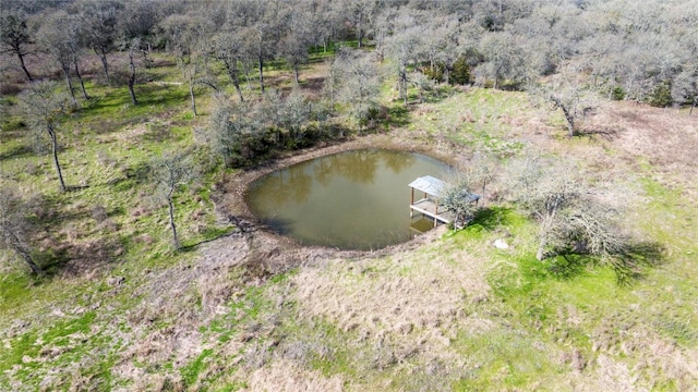 drone / aerial view featuring a wooded view and a water view