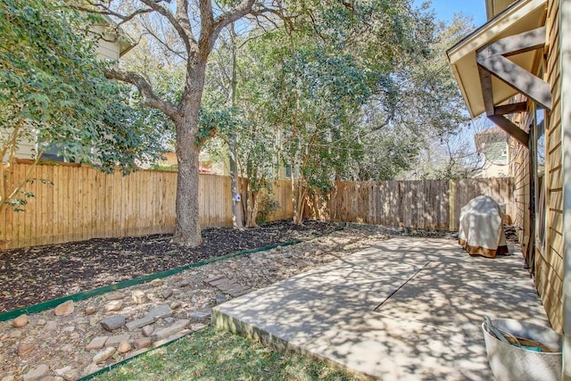 view of yard with a patio and a fenced backyard